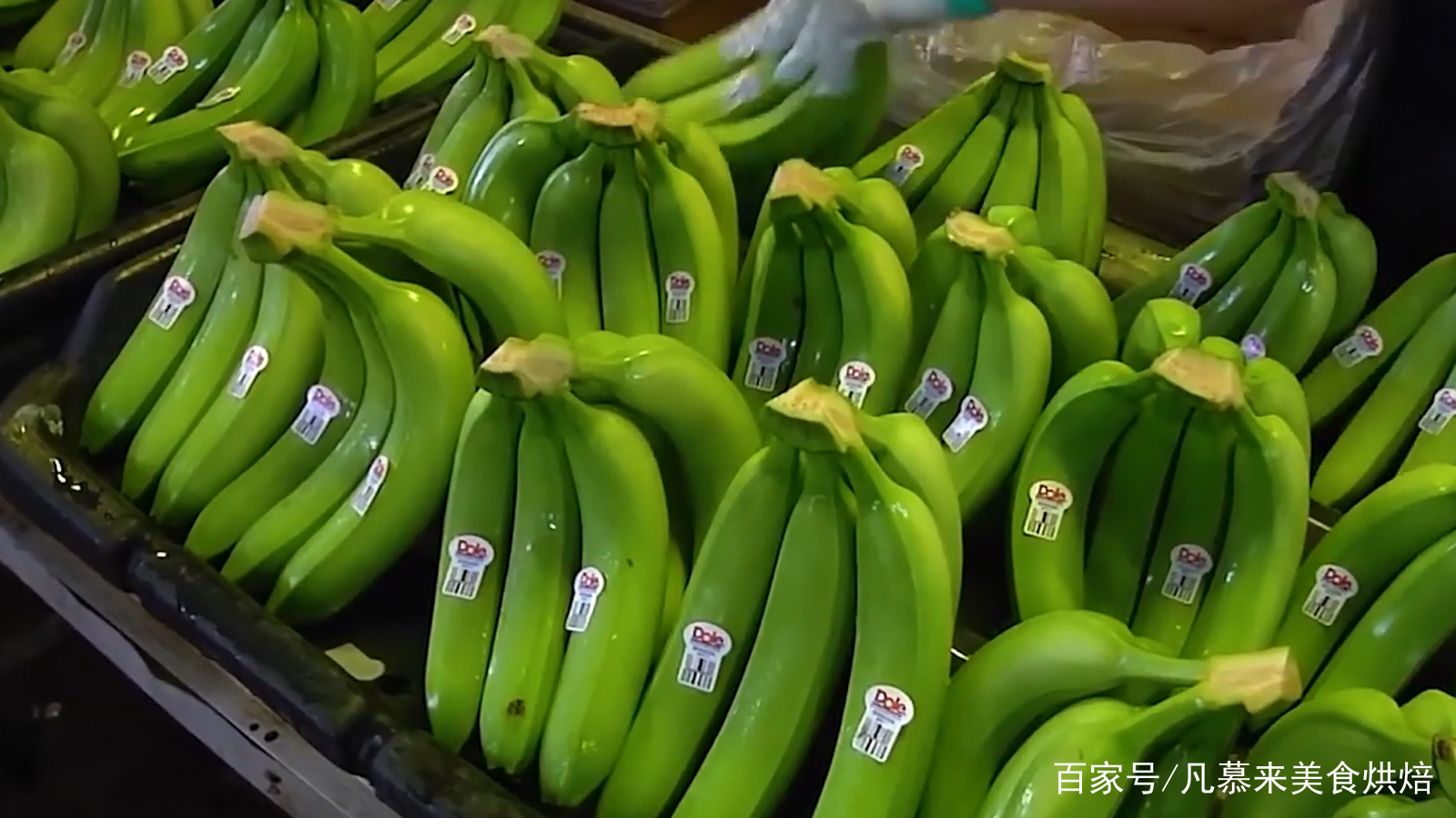 香蕉怎么育苗(香蕉怎么育苗方法如下)