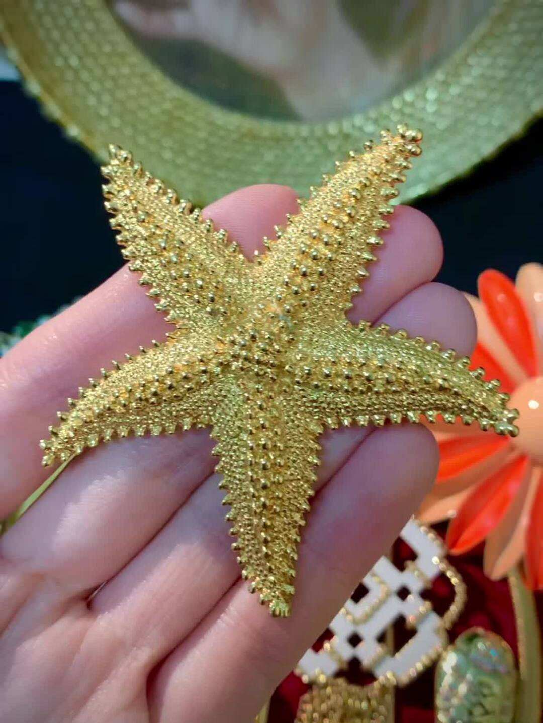 海星草有什么功效与作用(海星草有什么功效与作用及禁忌)
