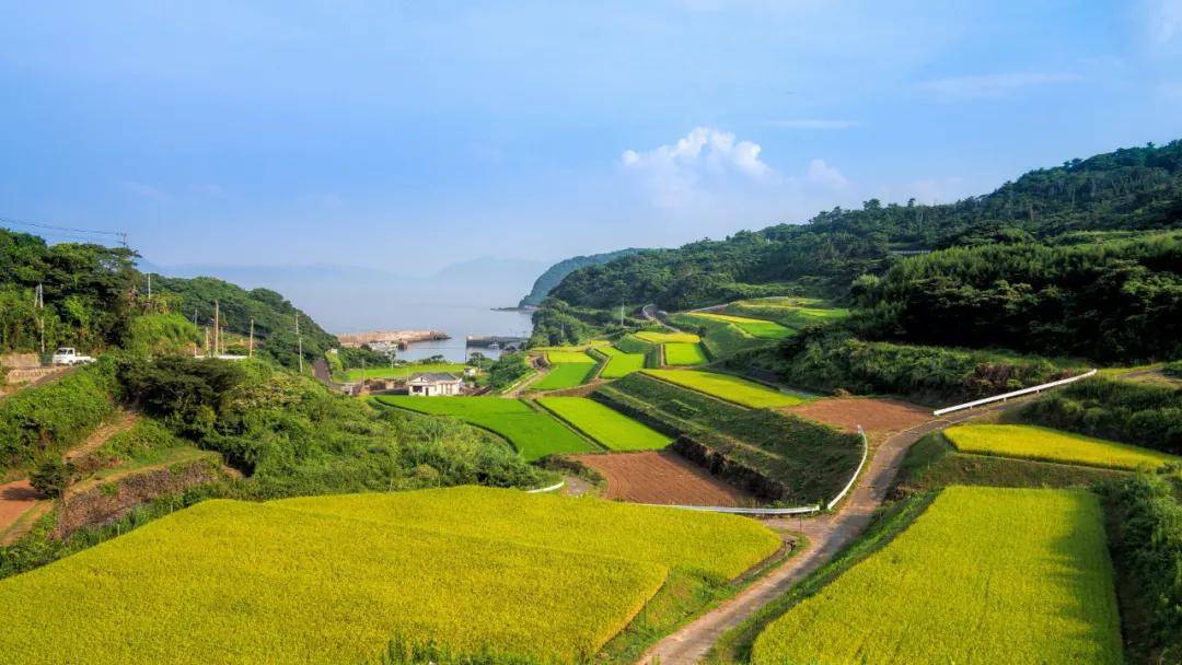 乡村振兴与新农村建设(乡村振兴与新农村建设主要内容的区别)