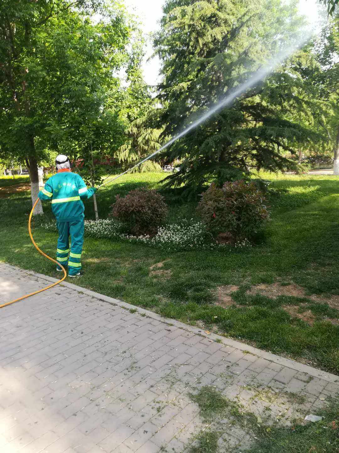 防治害虫价格(噻虫胺防治地下害虫)