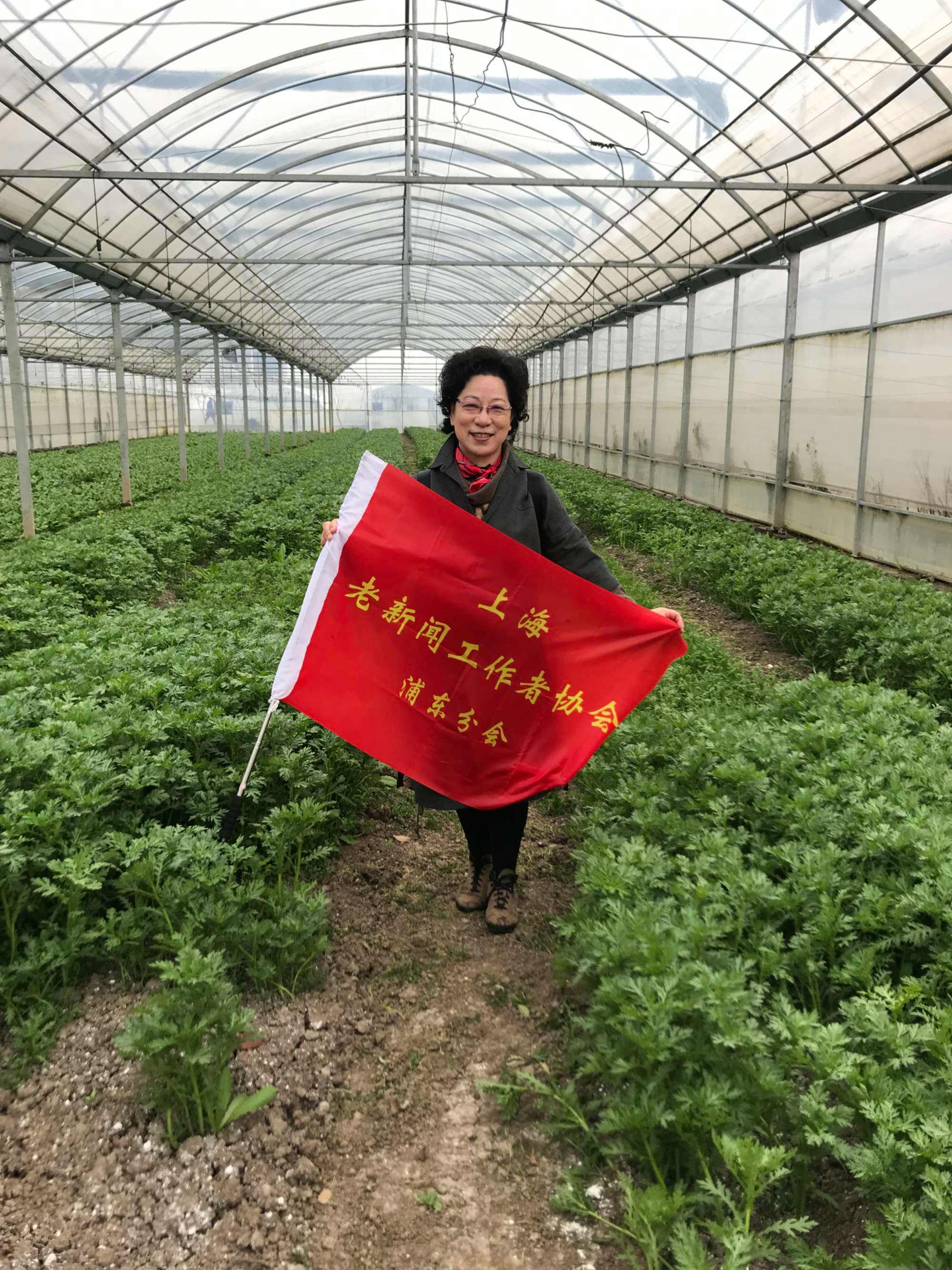 蔬菜种植体验(蔬菜种植体验区)