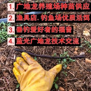 地龙养殖技术视频播放(地龙养殖技术视频播放网站)