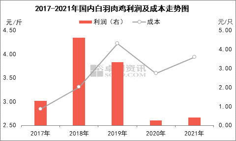 养殖肉鸡盈利(家鸽养殖能赚钱吗)