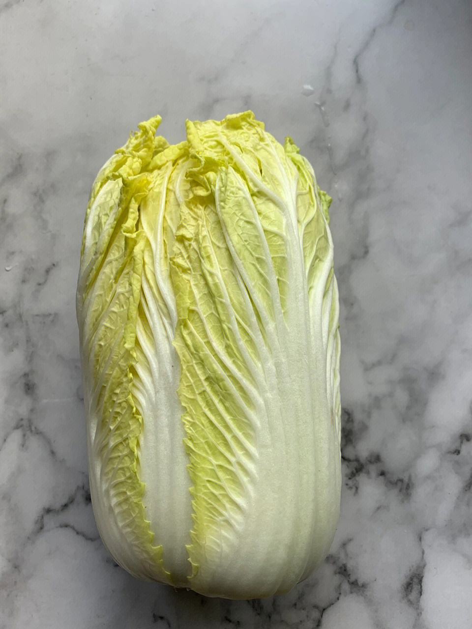 白菜发胖吗(白菜会变胖吗)
