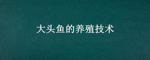 大头鱼养殖技术与注意事项(大头鱼养殖技术与注意事项大全)