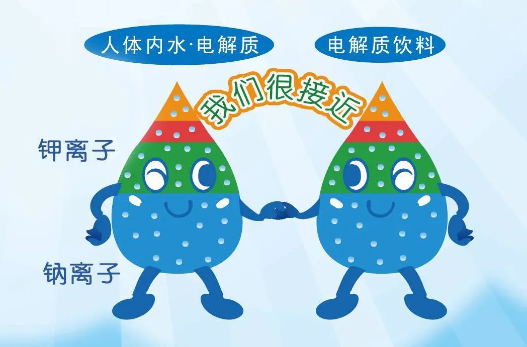 电解质有哪些种类(电解质有哪些种类和作用)