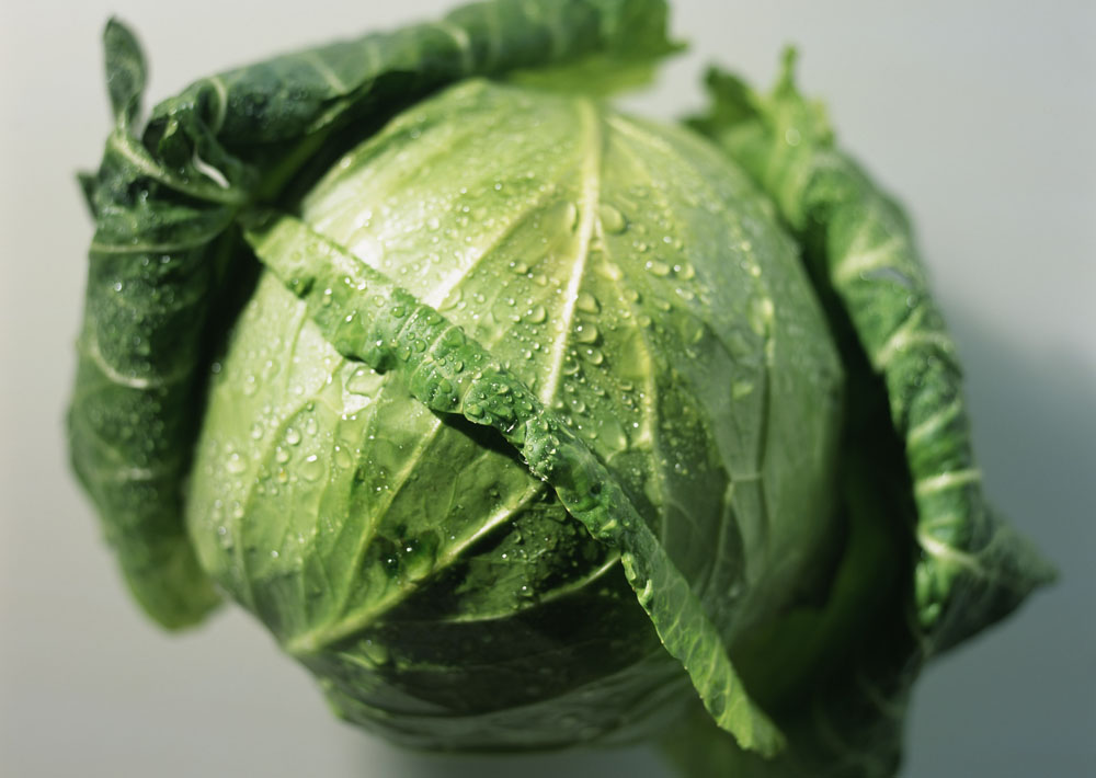白菜什么属(白菜什么属性)