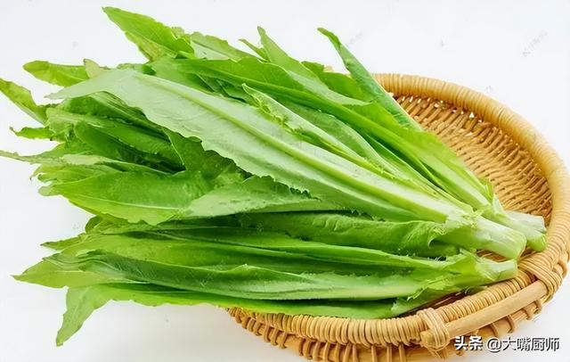 油麦菜和莴笋和生菜(油麦菜莴笋生菜是不是一个东西)