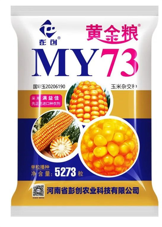 玉米种黄金粮my73(玉米种黄金粮有几个品种)