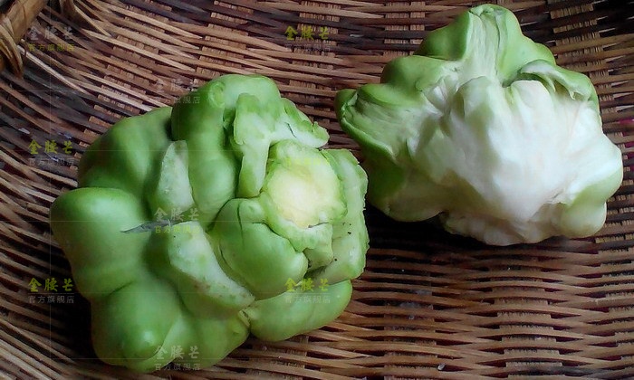 榨菜和芥菜(榨菜和芥菜区别)