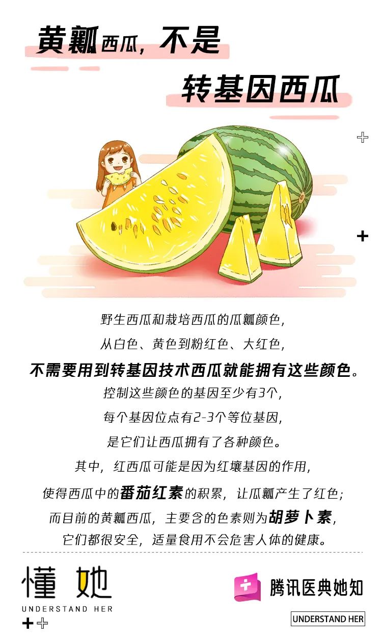 黄瓤西瓜是转基因(黄瓤西瓜是进口的吗)