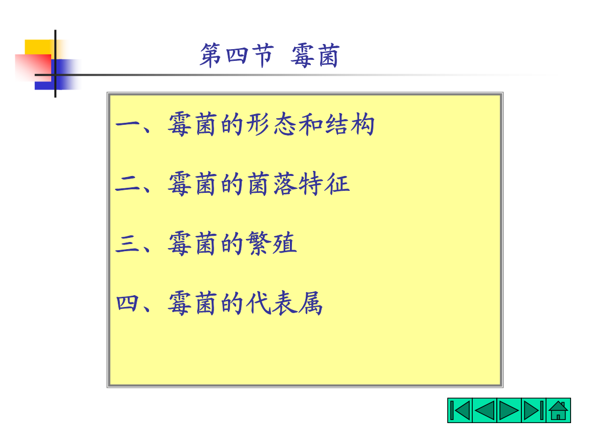 霉菌主要是以分裂和产生孢子的方式进行繁殖的简单介绍