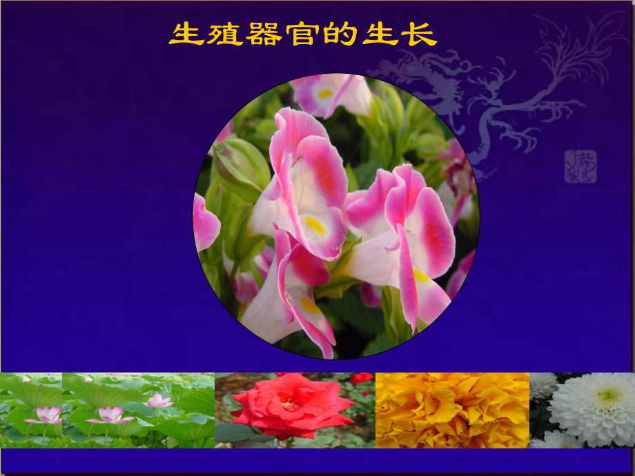 花是繁殖器官吗(花是植物的繁殖器官会是什么的总称)