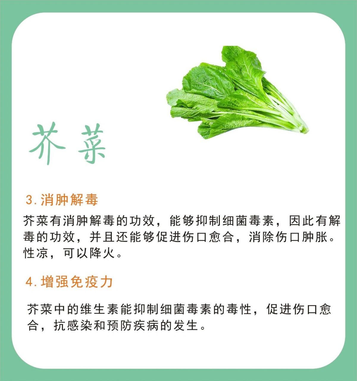 芥菜图片功效(芥菜图片功效钙)