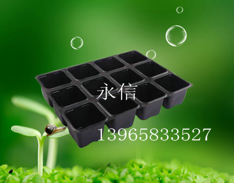 育苗盘规格(育苗盘规格型号及价格200孔)