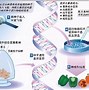 桂野丰水稻种子(桂野丰是常规稻吗)