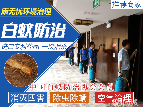 除四害杀虫灭鼠(灭鼠除四害广告宣传)
