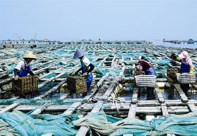海水养殖(海水养殖污水处理方案)