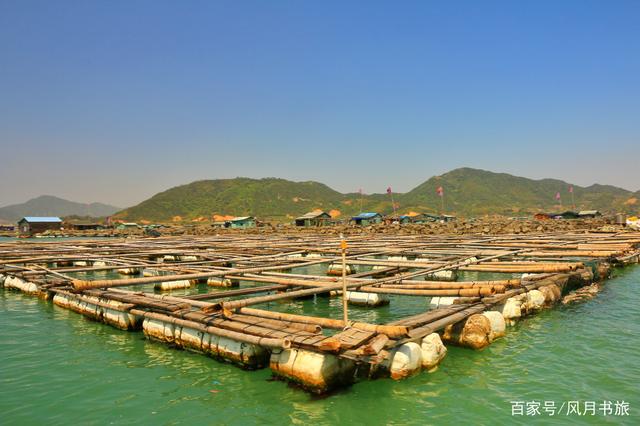 海水养殖(海水养殖污水处理方案)