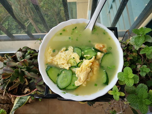 黄瓜种汤怎么做(黄瓜种汤怎么做好吃老东北美食)