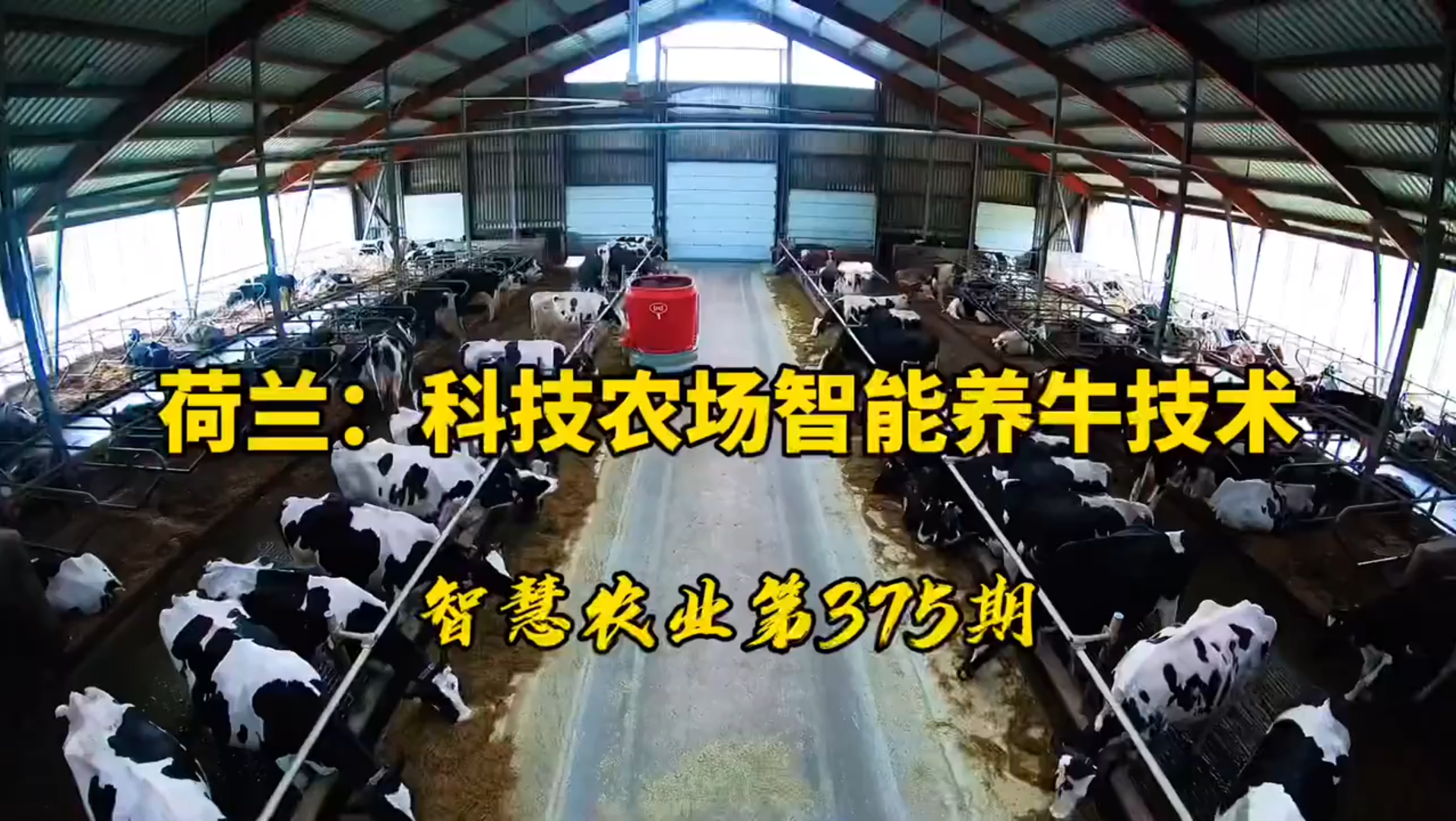 养牛知识与技术网站(养牛知识与技术网站官网)