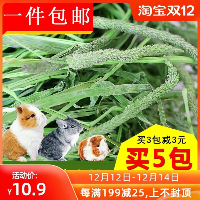 提摩西草鲜草(提摩西草鲜草几斤晒一斤)