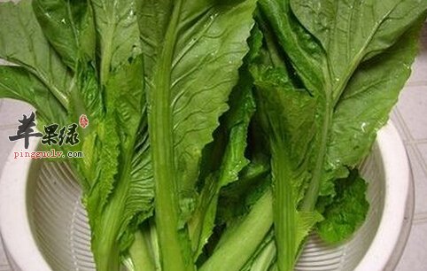 芥菜的图(芥菜的图片简笔画)