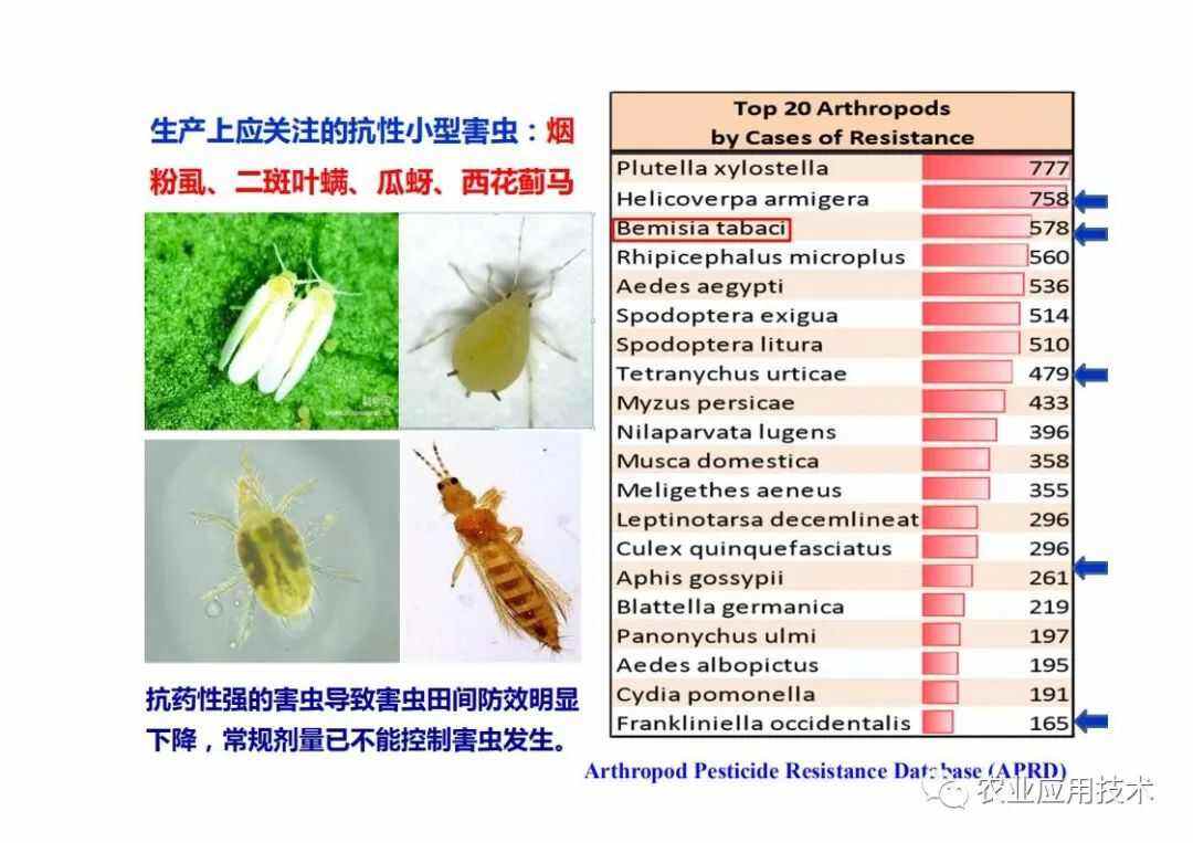 控制虫害的方法(控制虫害的方法有哪几种)