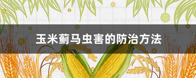 控制虫害的方法(控制虫害的方法有哪几种)
