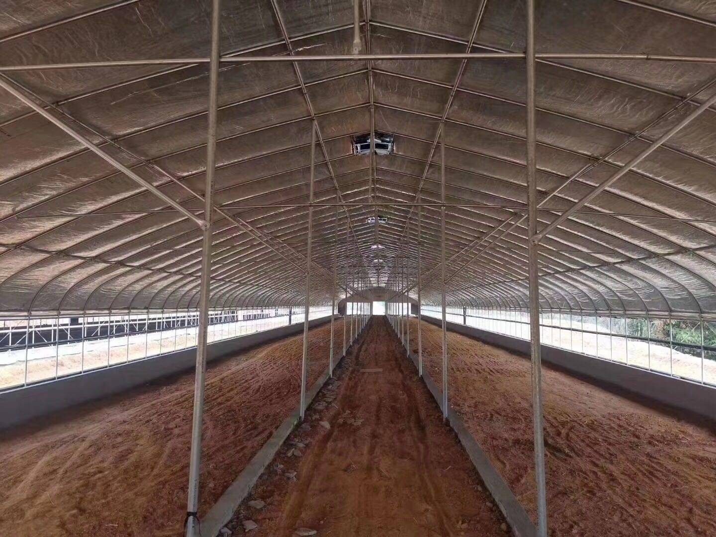 关于肉鸡饲养,养殖鸡鸭鹅大棚造价,,1.24,2,低,培育词的信息