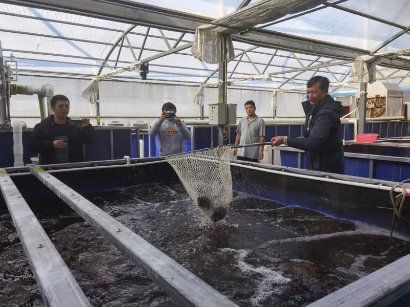 设施养殖水产(水产养殖配套设施)