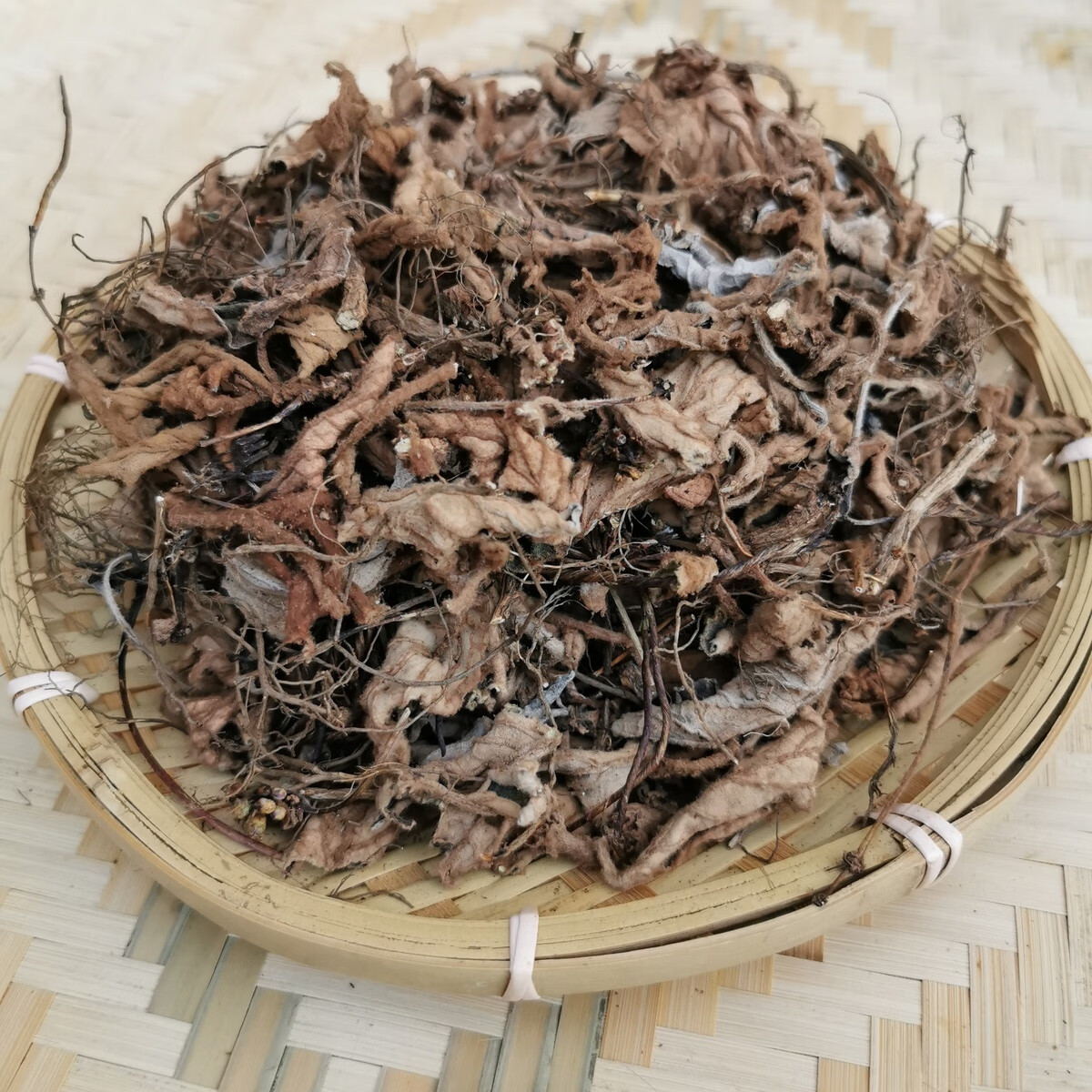 软肝草有什么功效(软肝草有什么功效和作用)