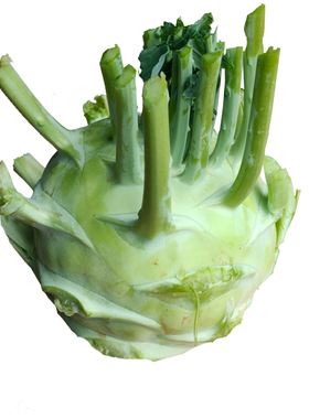芥菜和苤蓝(芥菜和苤蓝是一个东西吗)