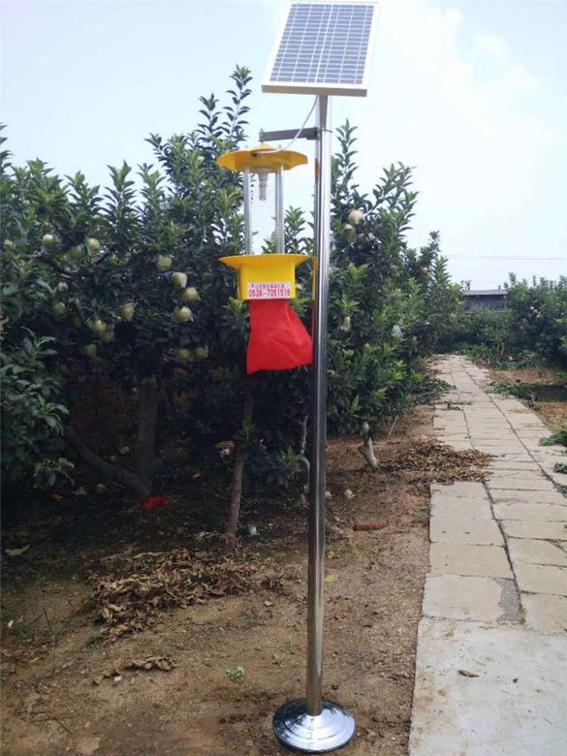 杀虫灯对果园的有效果吗(杀虫灯安装结构示意图步骤)
