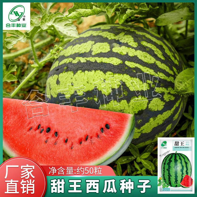 绿宝西瓜种(绿宝瓜种植方法和注意事项)