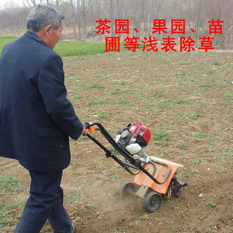 翻土除草(翻土除草代表什么生肖)