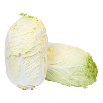 东北白菜(东北白菜炖豆腐的家常做法)