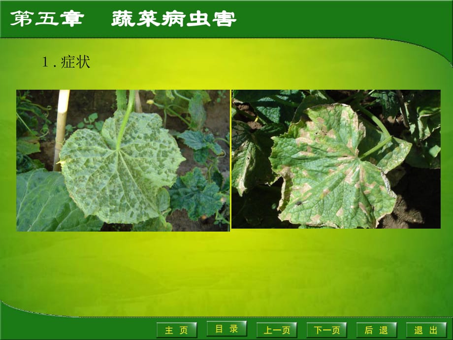 植物病虫防治(植物病虫防治论文范文)