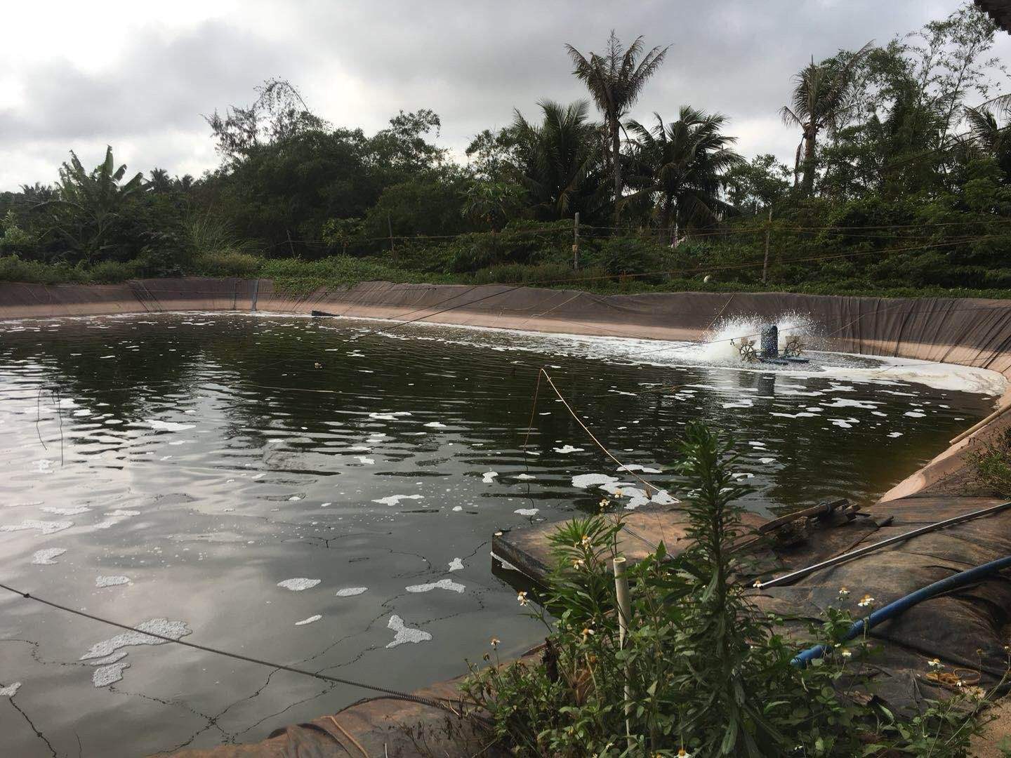 生态水产养殖(生态水产养殖技术)