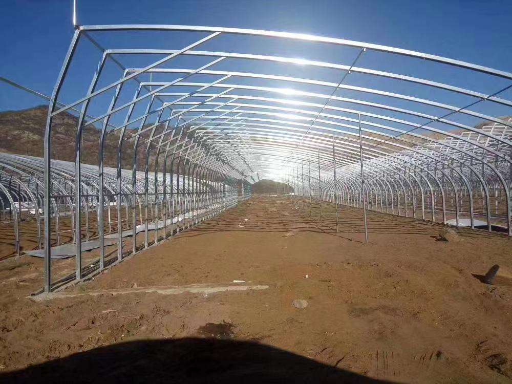 温室养鸡大棚建设(温室养鸡大棚建设规范)