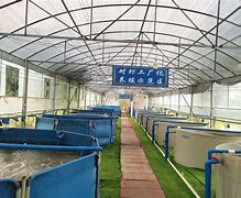 四川航霸特种水产种养殖有限公司(四川航霸特种水产种养殖有限公司招聘)