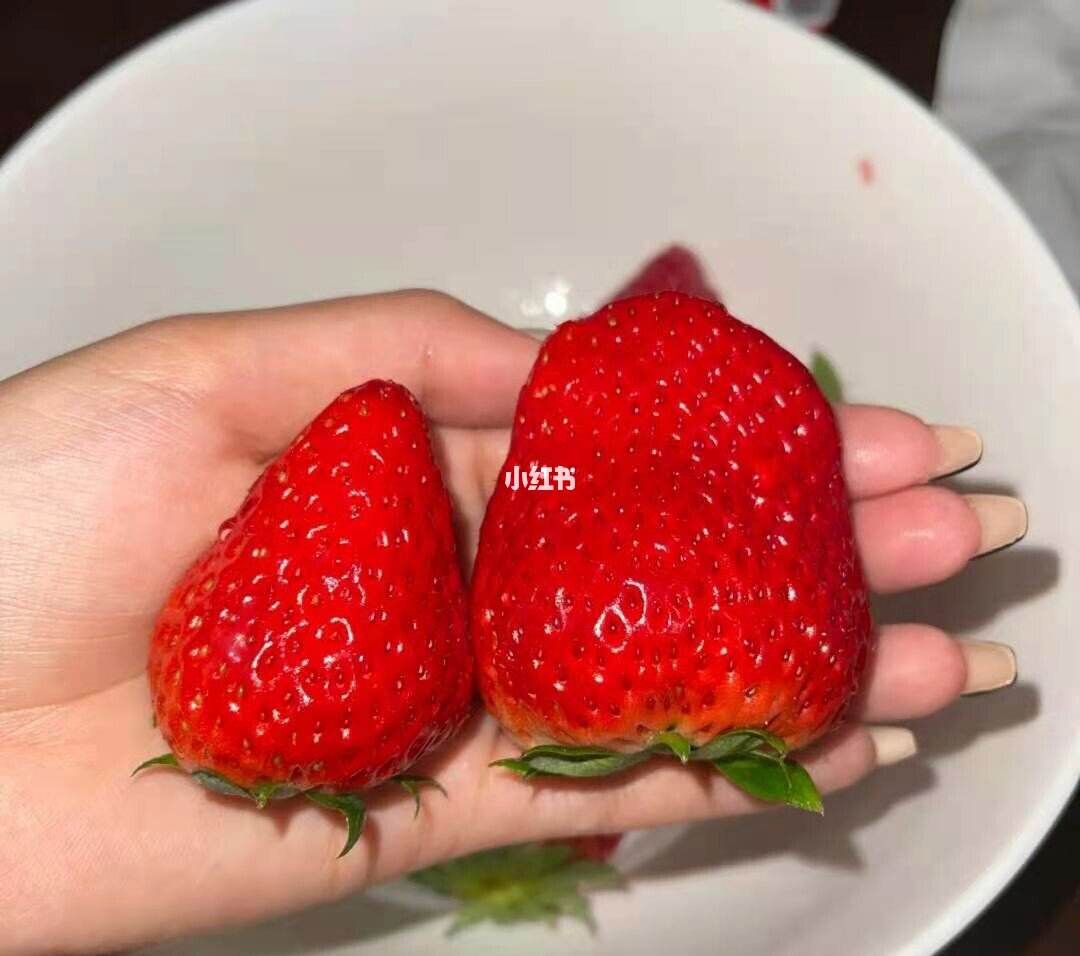 男朋友给我种草莓(男朋友给我种草莓别人看见尴尬吗)