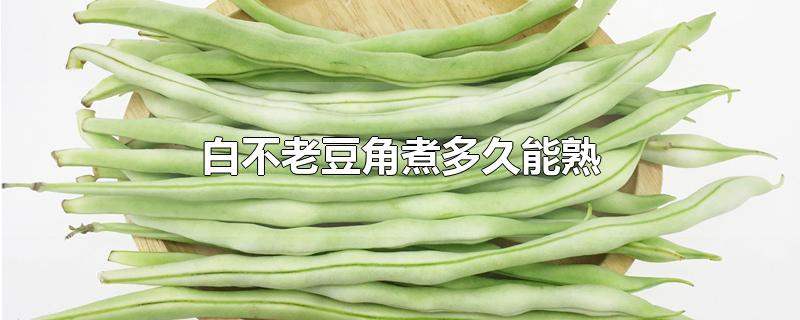 长豆角多久能熟(长豆角多久能熟透)