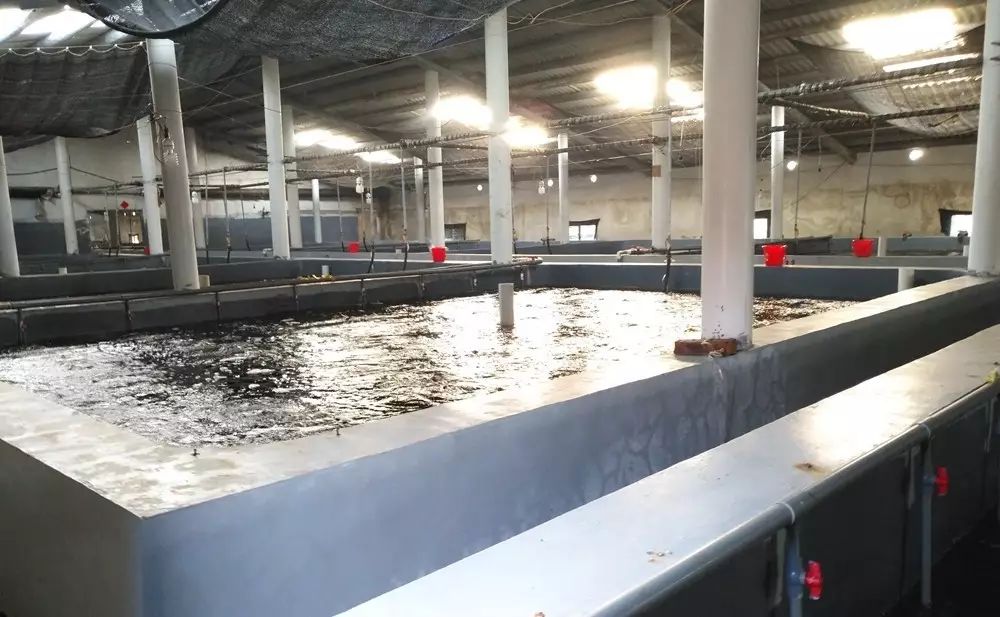 漳浦水产养殖(漳浦水产养殖情况介绍)