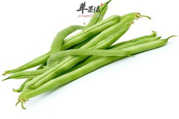 吃四季豆的好处与功效(吃四季豆的好处与功效禁忌)