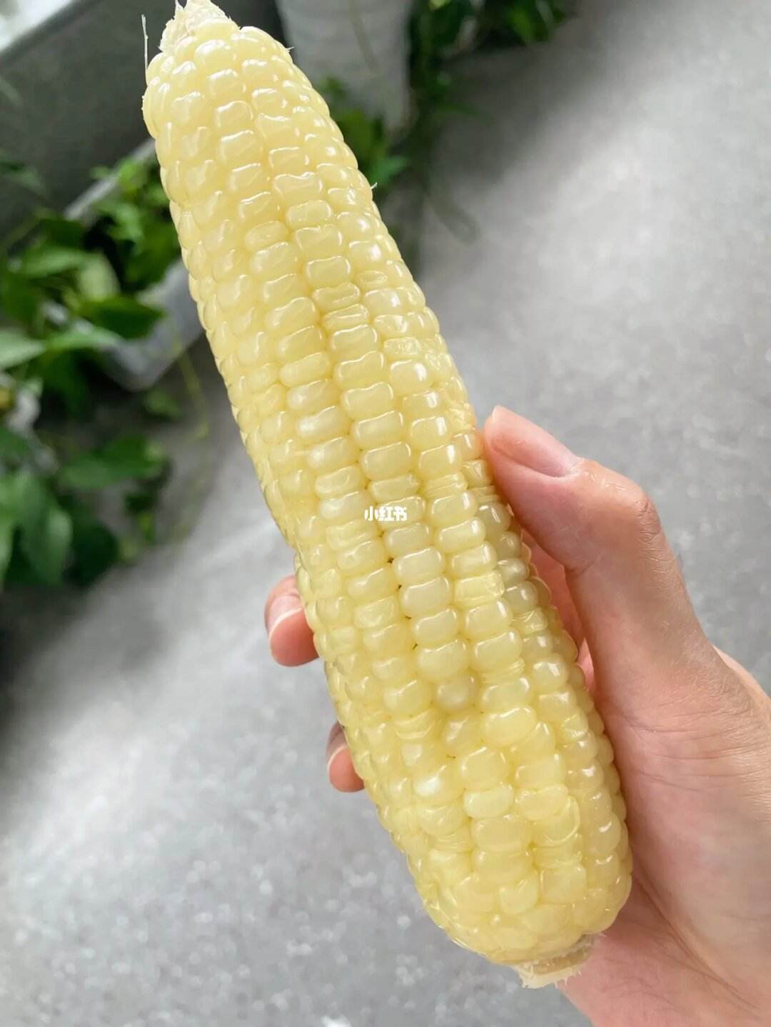 花玉米和黄玉米哪个甜(黄玉米和花玉米有什么功效)