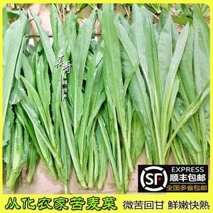 从化蔬菜批发(从化蔬菜配送价格表)