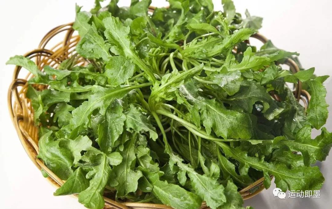 荠菜的功能主治(荠菜的功效有哪些)