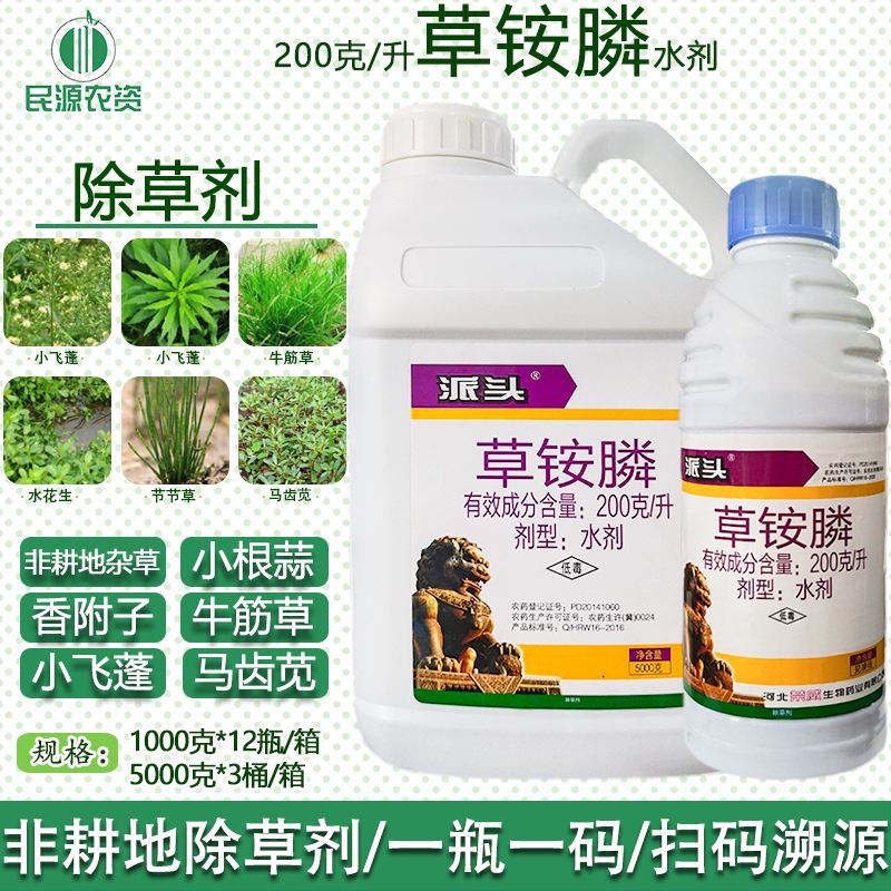 除草用什么药好(桉树除草用什么药好)