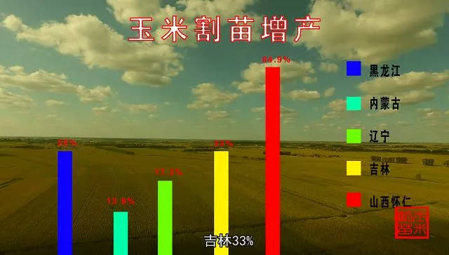 玉米增产(玉米增产药剂最佳配方)